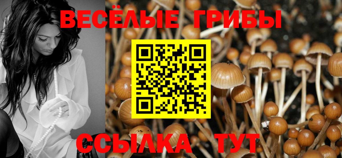 Псилоцибиновые грибы MAGIC MUSHROOMS Великие Луки