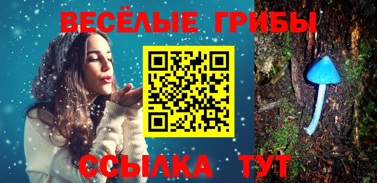 Великие Луки  Псилоцибиновые грибы мухоморы  Вход с VPN 
